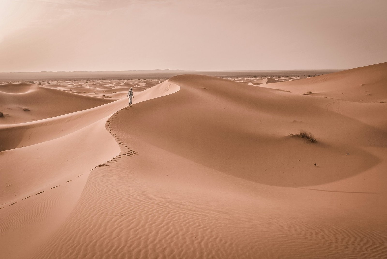 travel consultancy